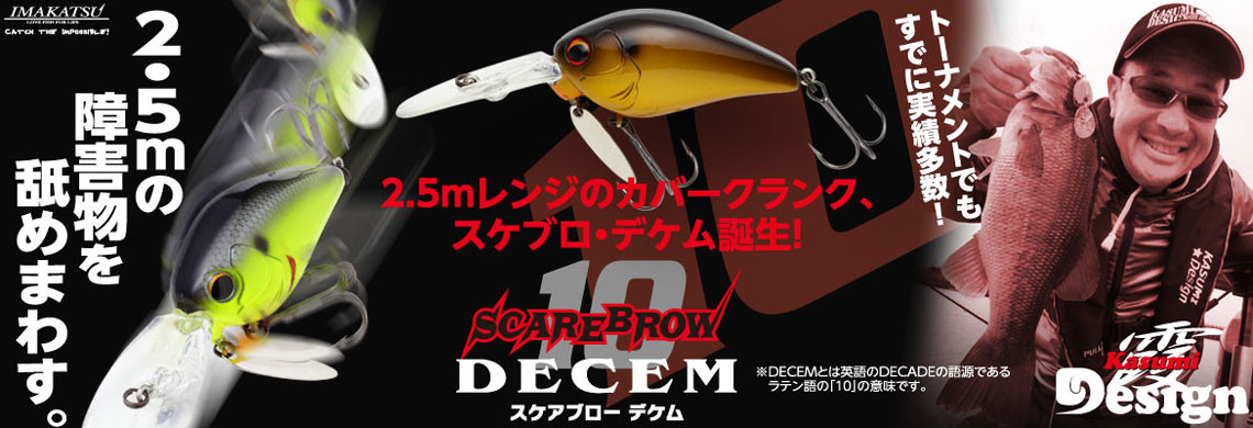 Scare Brow -DECEM-