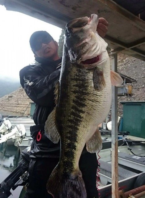Monster bass caught by SG+ AYUROID